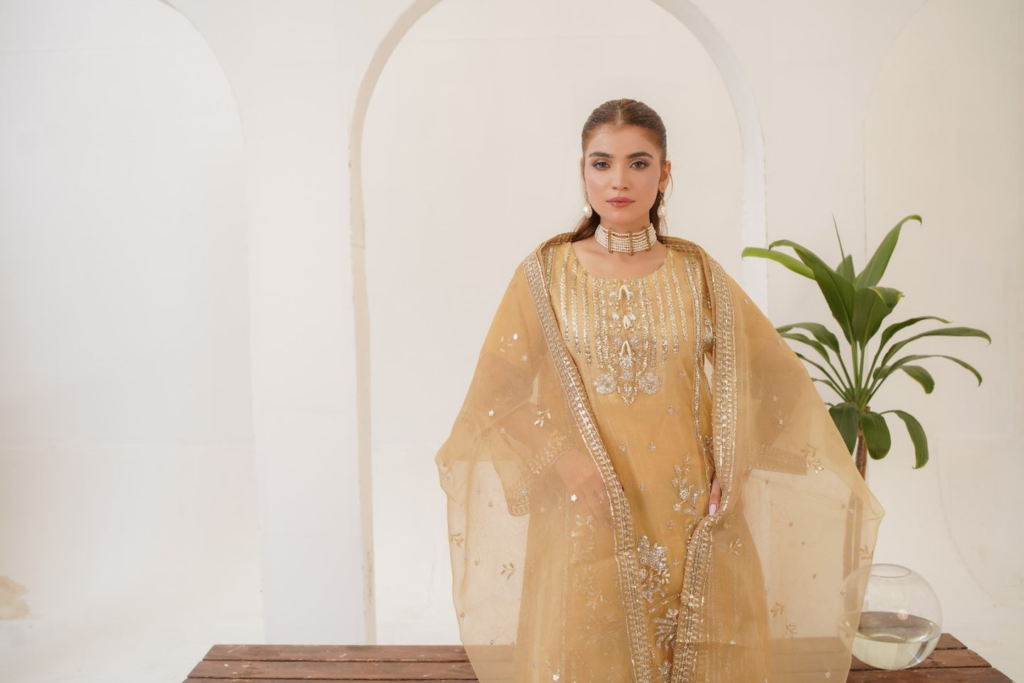 Areej ( Fancy Stitched Embrodiery Pcs )