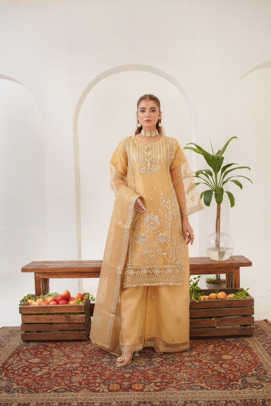 Areej ( Fancy Stitched Embrodiery Pcs )