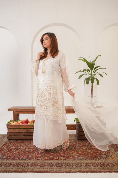 Rabeeca Fancy  ( Stitched 3 Pcs )