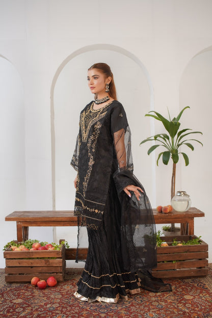 Elvin Fancy ( Stitched 3 Pcs )