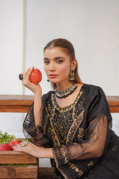 Elvin Fancy ( Stitched 3 Pcs )