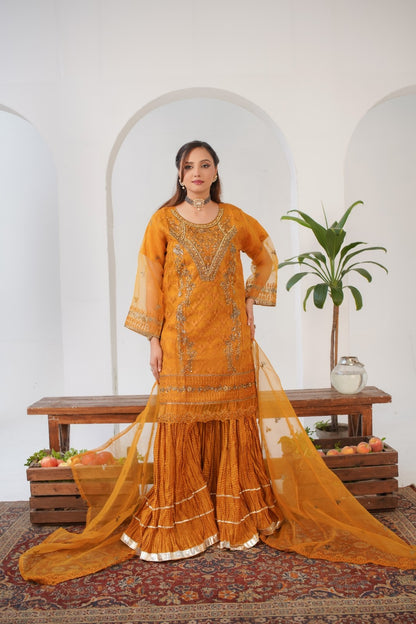 Elvin Fancy ( Stitched 3 Pcs )