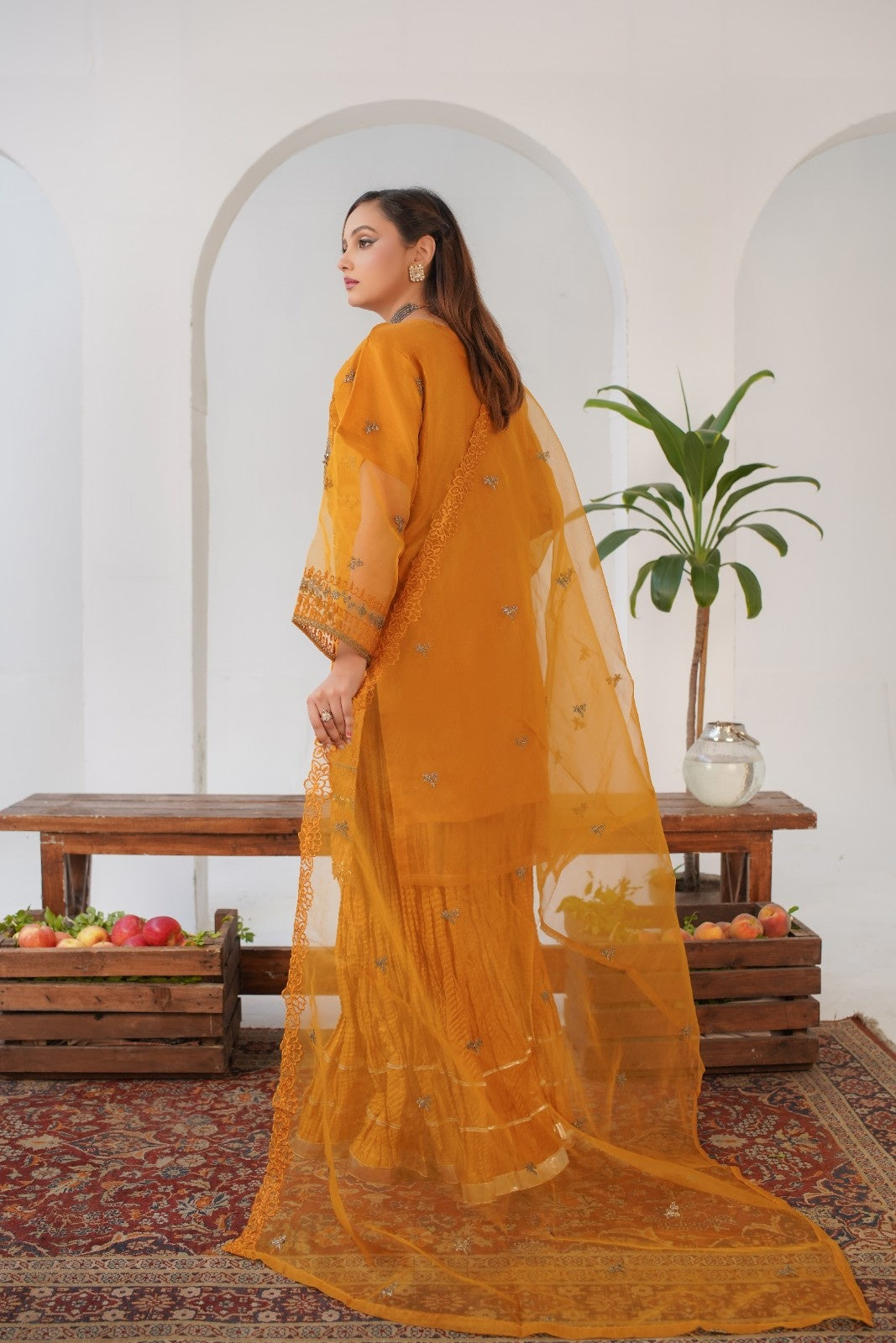 Elvin Fancy ( Stitched 3 Pcs )