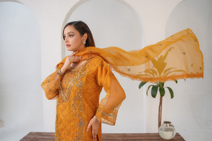 Elvin Fancy ( Stitched 3 Pcs )