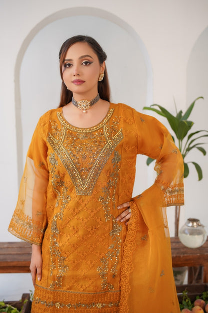 Elvin Fancy ( Stitched 3 Pcs )