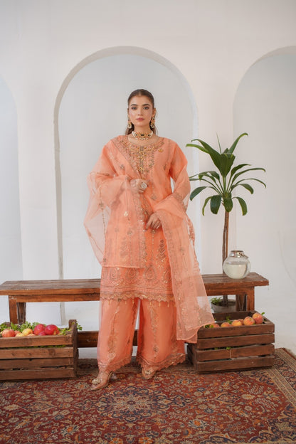 Parsa Fancy  ( Stitched 3 Pcs )