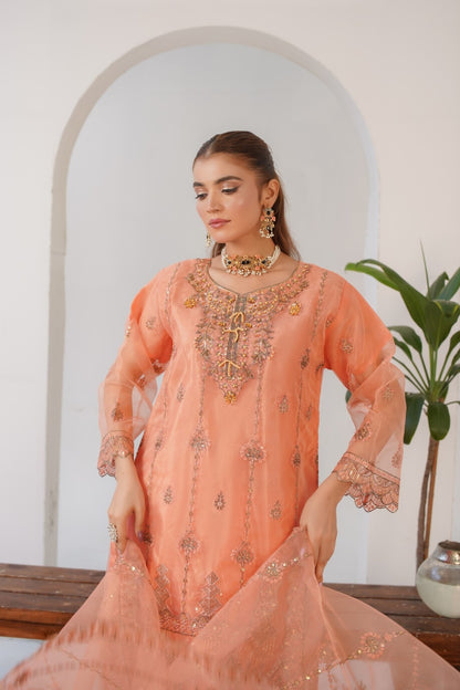 Parsa Fancy  ( Stitched 3 Pcs )