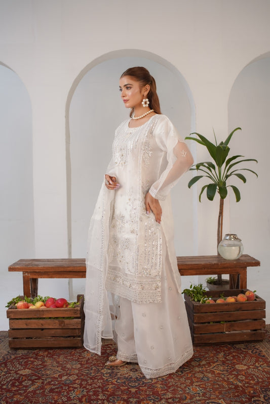 Areej ( Fancy Stitched Embrodiery Pcs )