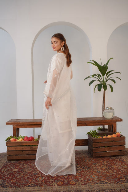 Areej ( Fancy Stitched Embrodiery Pcs )