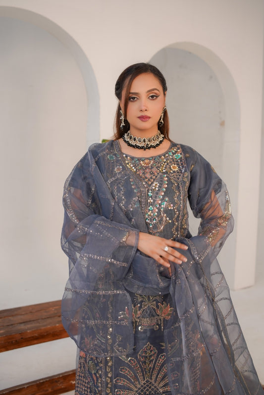 Payal (  Fancy Stitched 3 Pcs )