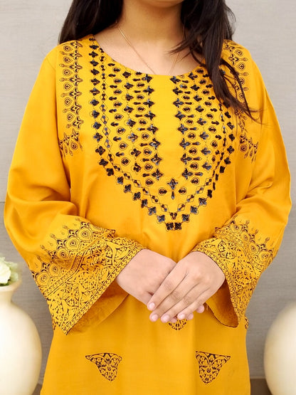 Zarwish Hand Work (Stitched 2 Pcs)