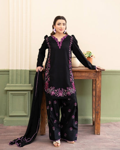 Kainat Embroided 2 PCs